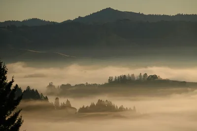 A view of a mountain covered in fog