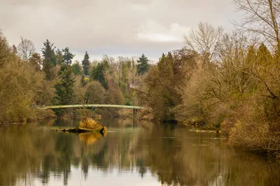 Peaceful river scene with a bridge and vibrant reflections in Tukwila, WA.