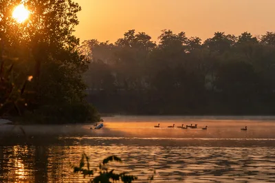 A peaceful sunrise at a tranquil lake in Kansas with ducks paddling on calm waters.
