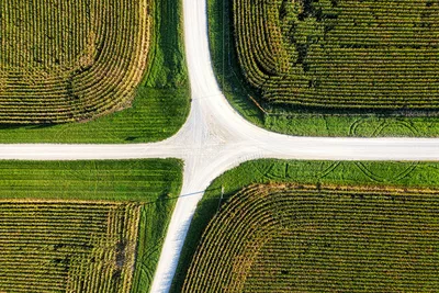 Aerial view of a rural crossroad in the middle of vast green cornfields, typical of the South Dakota prairie approach.