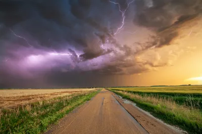 A dramatic thunderstorm with lightning over a golden wheat field in the Oklahoma plains.