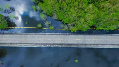 Aerial drone shot of a bridge crossing a lush green forest river in Louisiana