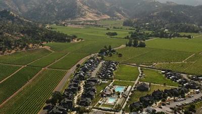Aerial view of lush Napa Valley vineyards and rolling hills