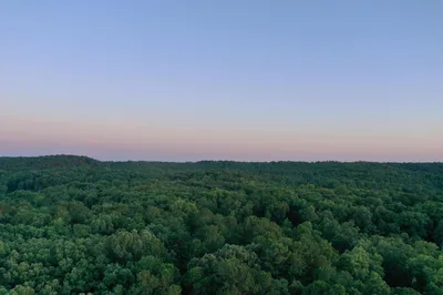 A captivating aerial view of lush green forest under a clear sky in Benton, Arkansas at dawn.