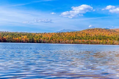 Peaceful autumn view of a lake in Lincoln, NH, surrounded by vibrant fall foliage and clear blue skies.