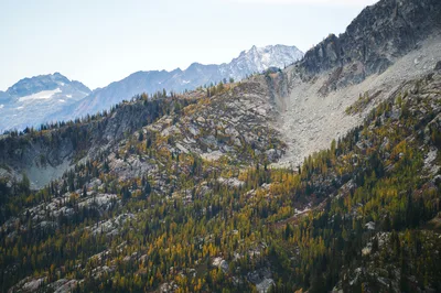 Stunning autumn landscape of North Cascades, Washington with larch trees.