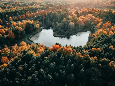 Aerial view of a vibrant autumn forest and pond in Peninsula, Ohio, near Akron-Canton Airport