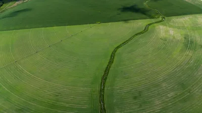 Aerial view of green circular irrigated fields in the Texas Panhandle