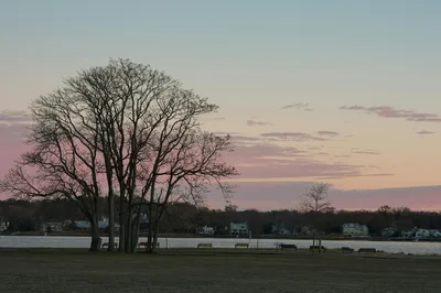 Serene autumn scene with trees at twilight overlooking a lake in Stamford, Connecticut.
