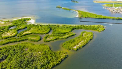Stunning aerial view of lush islands and waterways in Florida, showcasing vibrant greenery and tranquil waters.