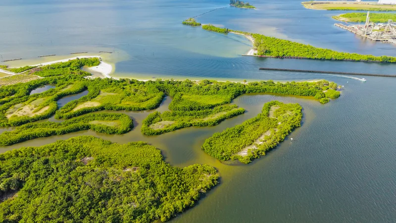 Winter Haven Regional Airport — Winter Haven, FL