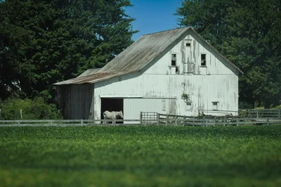 A scenic rural view of a weathered barn with a white horse in a verdant field.