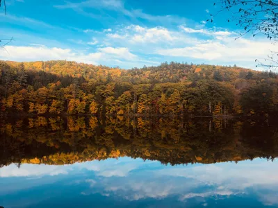 Beautiful autumn foliage reflected in a tranquil lake with a clear blue sky in Vermont.