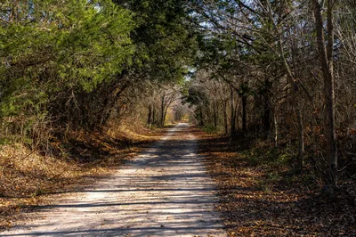 A tranquil forest trail in Weatherford, Texas, showcasing vibrant autumn foliage and a peaceful path.