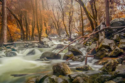 Peaceful autumn scene of a river flowing through rocky forest in Yosemite with warm hues and long exposure.