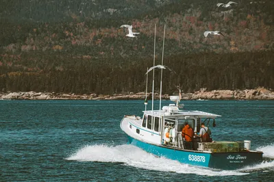 A lobster boat travels along the rugged, rocky coastline of Maine with seagulls flying overhead