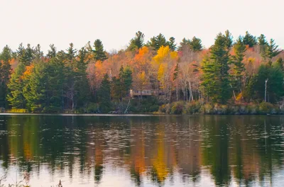 A tranquil Vermont lake reflecting colorful autumn trees under a clear sky.
