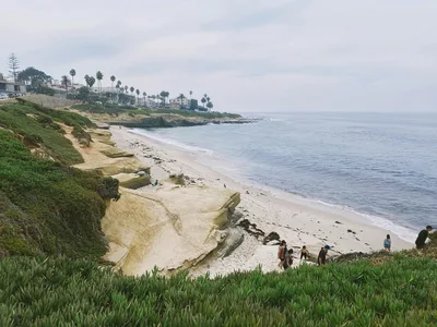 A beautiful coastal landscape at La Jolla Shores, California, featuring rugged cliffs, sandy beaches, and distant palm trees.