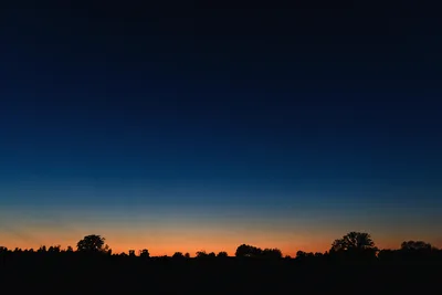 Dramatic sunset with silhouettes of trees against a vibrant sky in Elizabethtown, KY.