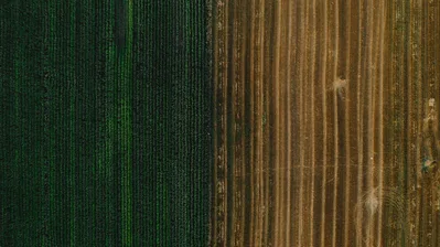 High-angle shot of green and brown farm fields showcasing contrast in Texas.