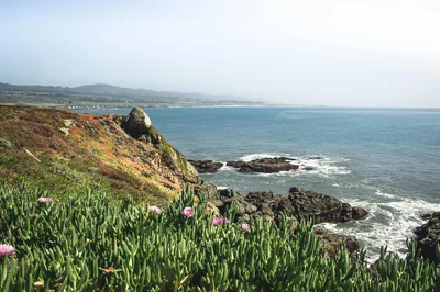 Beautiful view of the California coastline with cliffs, ocean, and blooming wildflowers.