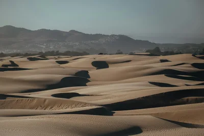 Golden sand dunes under a clear sky at Oceano, CA. A serene desert landscape with distant hills.