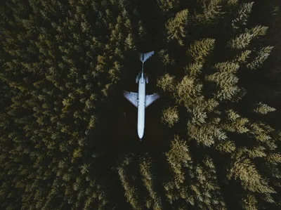 Aerial drone shot of a Boeing 727 airplane nestled in a dense Oregon forest.