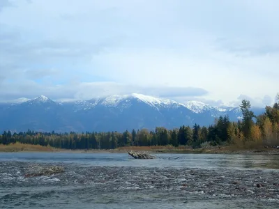 Peaceful view of Whitefish River with snow-capped mountains and autumn forest in Whitefish, Montana.